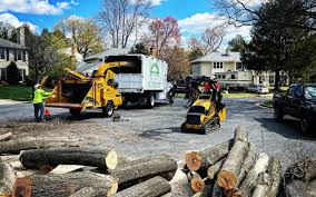 Reliable Connelly Springs, NC  Tree Services Solutions